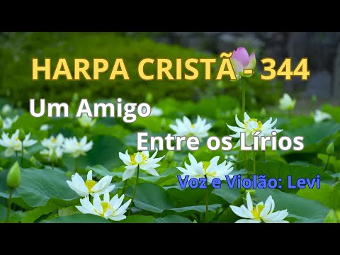 Harpa Cristã - 344 - Um Amigo Entre os Lírios - Levi - com letra