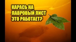 Ссылка