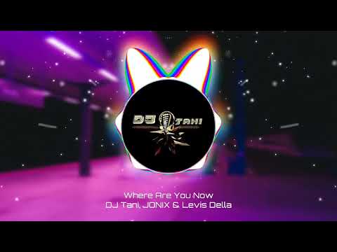 dj tani & JONIX & Levis Della - Where Are You Now [Official Visualizer]