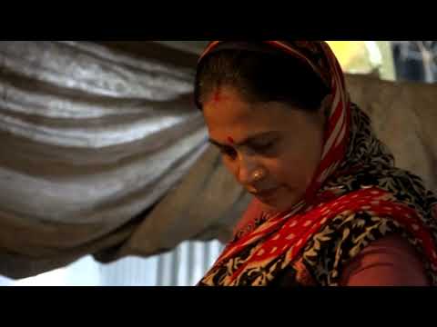 একটি বাড়ি একটি খামার