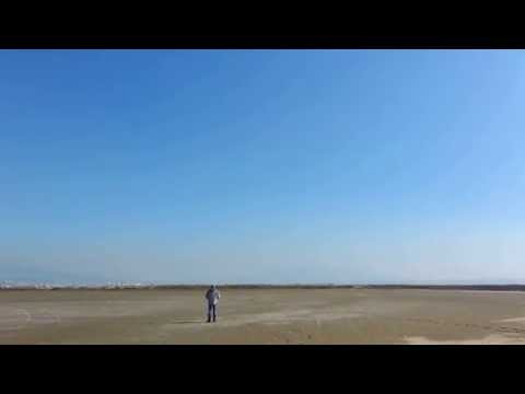 Gryphon Evo with JetCat P100 Rx