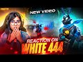 I Saw White 444 Game Play For The First Time Reaction On White 444 Hacker Or Wot