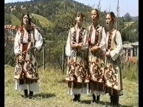 Крај бунара зелени се трава