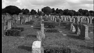 Carl Perkins & George Harrison-Distance Makes No Difference With Love