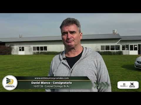 16-07-26 - Daniel Blanco - Consignatario - Coronel Dorrego, Bs.As.