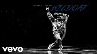 Chris Brown - Wildcat (Audio)