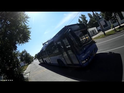 Elengedem a buszt - I let the bus go