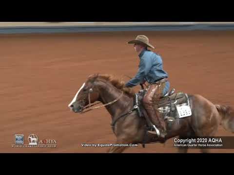 2020 working cow horse