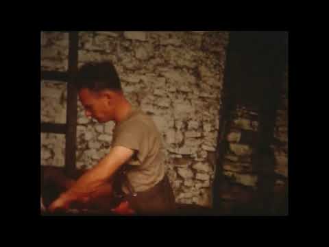 Pig Butchering