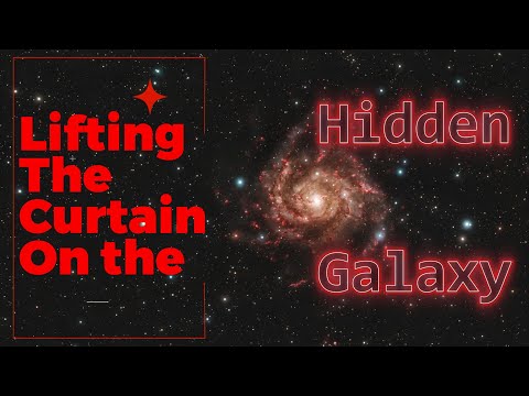 Lifting the Curtain on the Hidden Galaxy: IC342