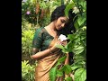 Anupama Parameswaran Whatsapp Status Anupama Lovers Anupama Heroine Status Mashup Whatsapp Status