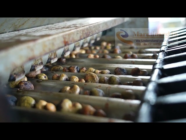 Cashew Nut Shelling Machines - Fully Automatic Cashew Shelling Machine ...