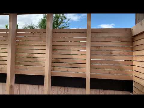 SIOO:X on Scottish larch. Week 4