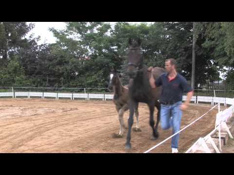 DSP Belantis x Christ