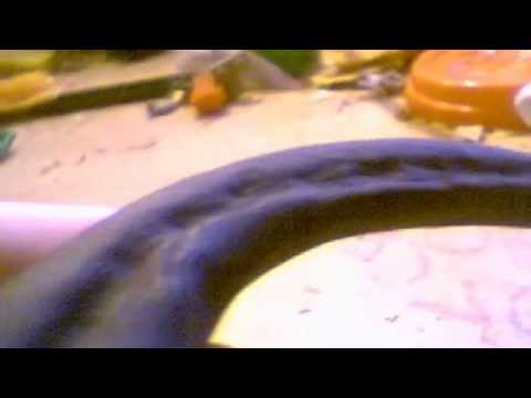 download lagu mp3 mp4 Raptor Claw For Sale, download lagu Raptor Claw For Sale gratis, unduh video klip Raptor Claw For Sale