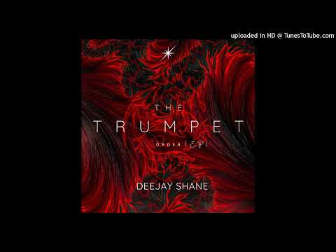 Deejay Shane - Lost In My Tears