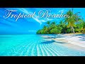 Relax in the Summer with Beautiful Tropical Beaches & Bossa Nova Cafe Music for Stress Relief