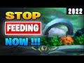 5 Ways To STOP FEEDING Easy Fix