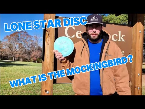 What is "The Mocking Bird" Wind? ain't scared of no wind ...