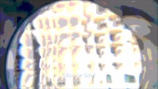 Silicone Soul