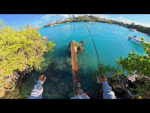 🔥 1 Hour, 1 Plank — Relentless Battles for Food