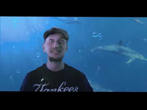 MAX KOLO - Kroniki (prod. Folku) @ShotByFlock