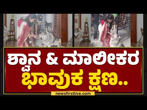 Dog Missing Incident : ಕಣ್ಣು ಕಾಣದ ಹಿನ್ನೆಲೆ, ಮನೆಯಿಂದ ಹೊರ ಹೋಗಿದ್ದ ಶ್ವಾನ | @newsfirstkannada