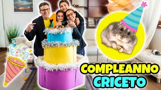 FESTA DI COMPLEANNO per il nostro CRICETO POLPETTA: Mega Torta Labirinto