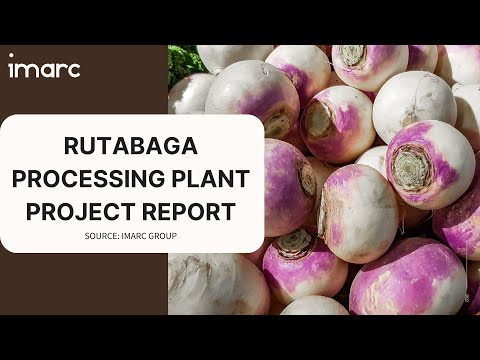 Detailed Report on Rutabaga Processing Plant Setup