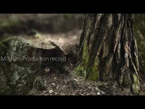 LOVE DÉ VOU - KENZO X BIG BOSS - LA ROFSTYLE - MEDIUM PRODUCTION RECORD - NEW RAP 2019 #onitmusic