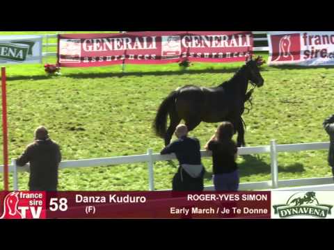 Show AQPS 2015 : lot 58 - Danza Kuduro - F13 - Early March & Je Te Donne