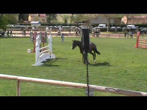 Dream & Camille GN de Cluny 2019 Amat 2 1m10 27/04