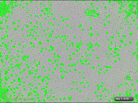 VID Q36729+GBM05 CD3+DCTL EXPANDED B8 3