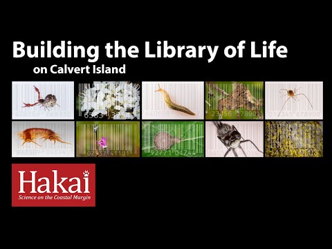 Building the Library of Life
