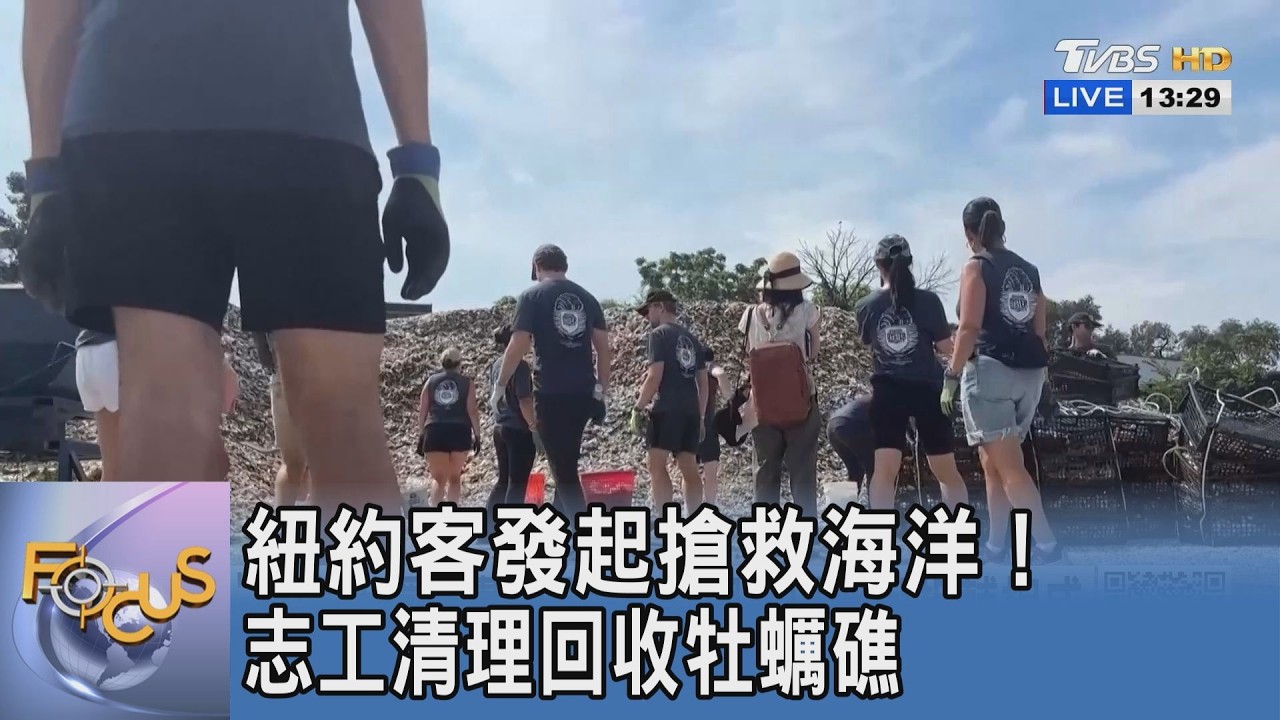 紐約客吃外食也能救海洋！志工分類320萬磅廢棄殼 種出天然防浪牆抵禦極端風暴