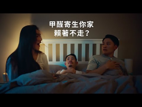 甲醛寄生家中趕也趕不走? 會除甲醛的乳膠漆 選得利健康居