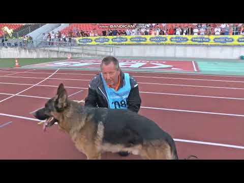 N 027 Usher aus der Brunnenstraße - Nachkommengruppen BSZS-2023