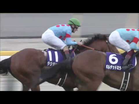 2020 NHK Mile Cup (G1)