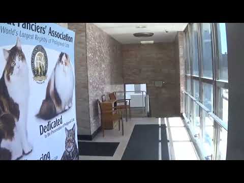 EPIC 1957 Rotary Hydraulic Elevator - Cat Fancier Association - Alliance