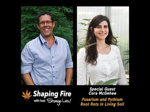 Shaping Fire Ep. 88 -  Fusarium and Pythium Root Rots in Living Soil with guest Cora McGehee