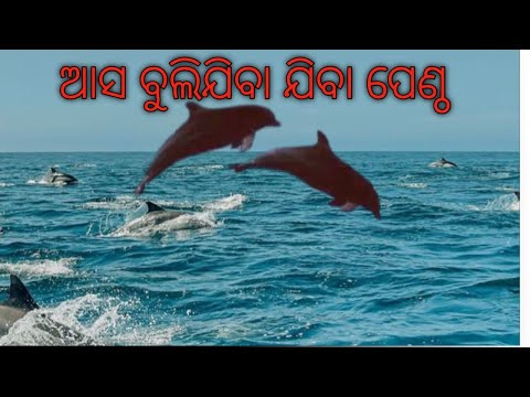 Rakhi purnima re pentha bula heliga