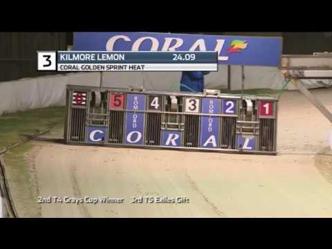 2019 CORAL GOLDEN SPRINT - HEAT 5 - T3 KILMORE LEMON
