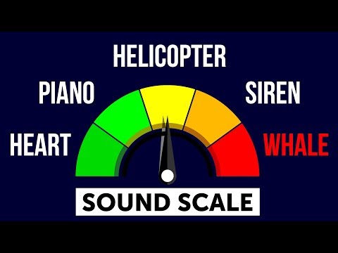 The Quietest and Loudest Sounds in the World