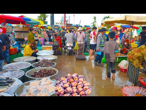 The Common Place To Trade -  Fishes And Seafood Market @ Chhbar Ampov Market
