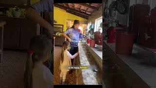 Download lagu Unik Banget! Dapur dengan Aliran Sungai Pegunungan di Dalam Rumah mp3