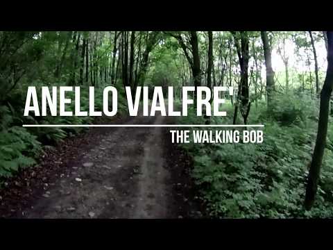 Escursione ad Anello nel bosco di Vialfrè