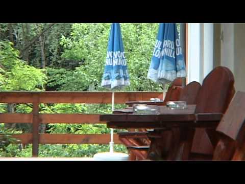 Cazare Baile Herculane Pensiunea President