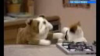 Will And Carlton Beat Box Song &quot;Sorry Ashley&quot; (Full)