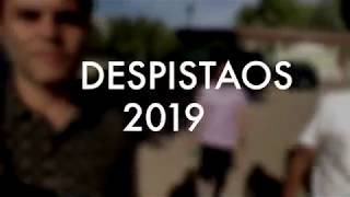 Despistaos 2019 reel 480p