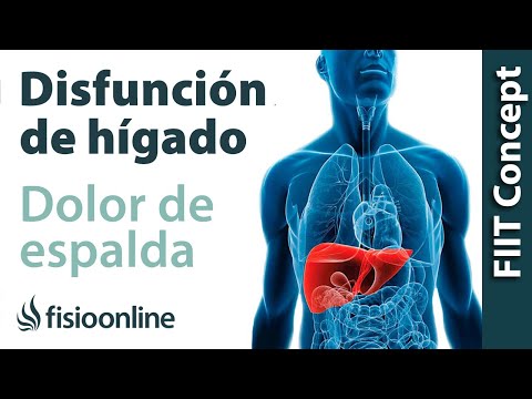 Ejercicios para las articulaciones Dr. Bubnovsky Reemplazo de cadera en Tula
